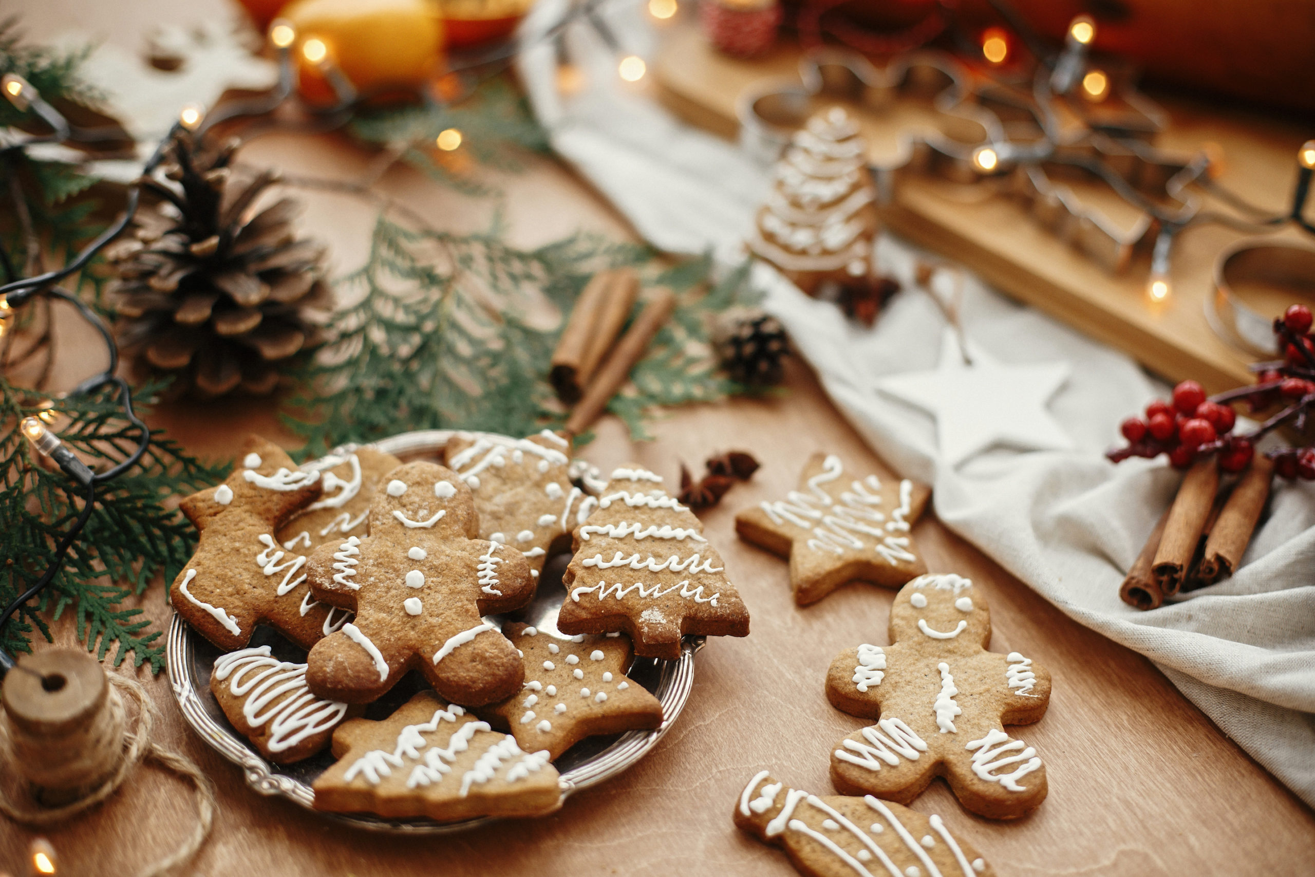 Christmas gingerbread cookies on vintage plate and anise, cinnamon, pine cones, cedar branches with golden lights on rustic table. Baked traditional gingerbread man, tree, star cookies