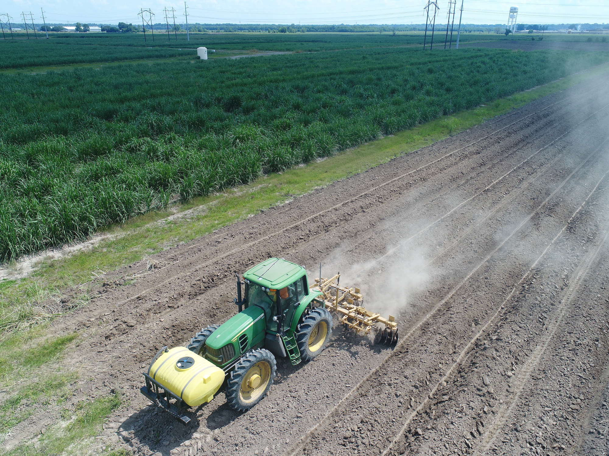 Sugar cane farm