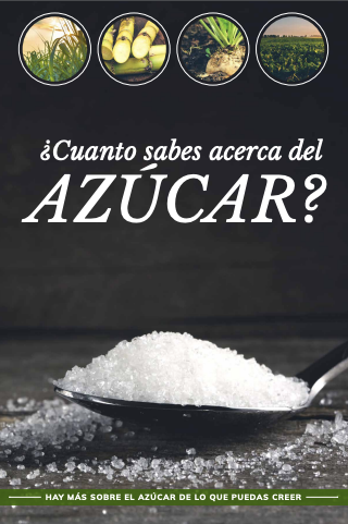 ¿Qué tanto conoce usted sobre el azúcar?