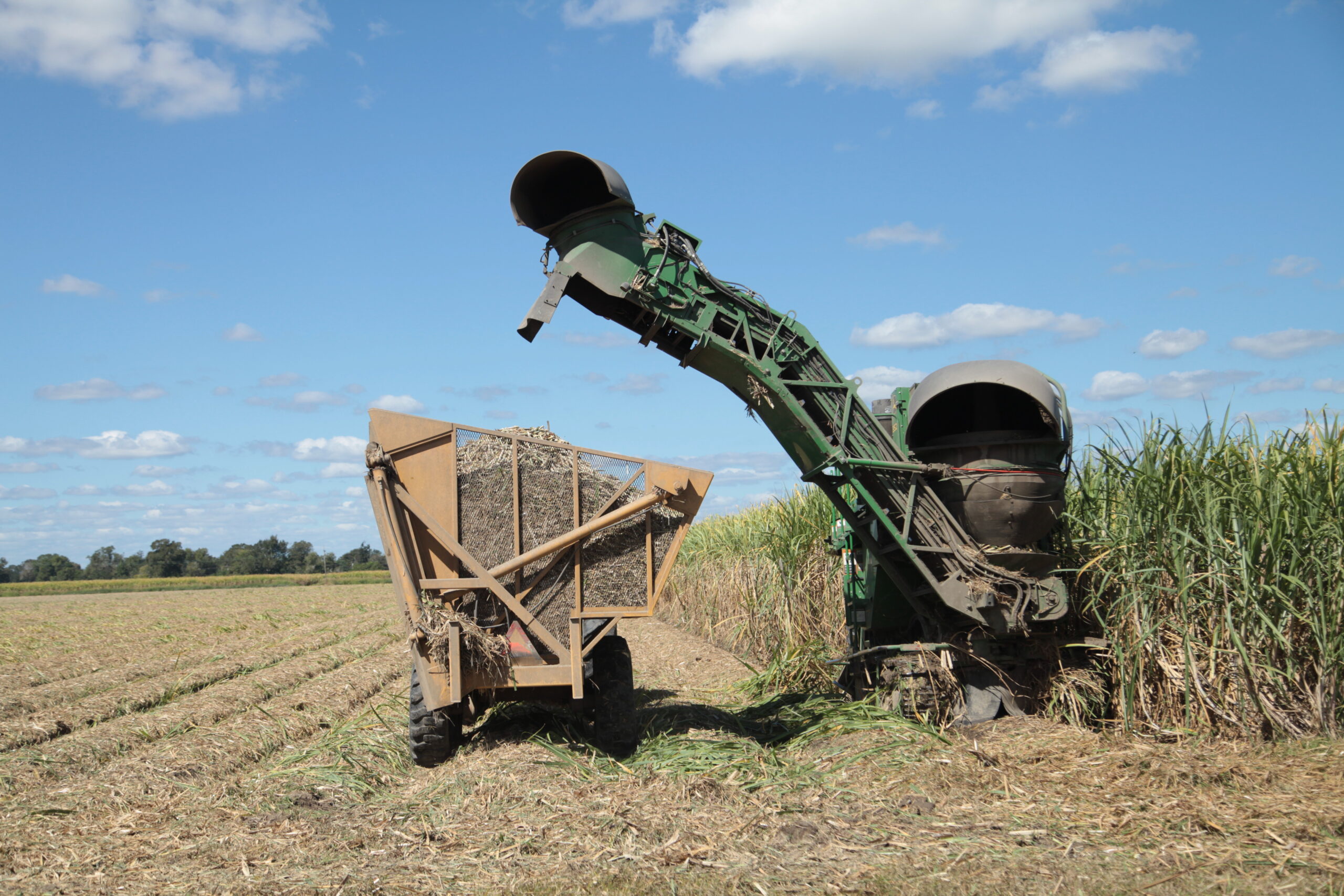 Sugar Cane harvester