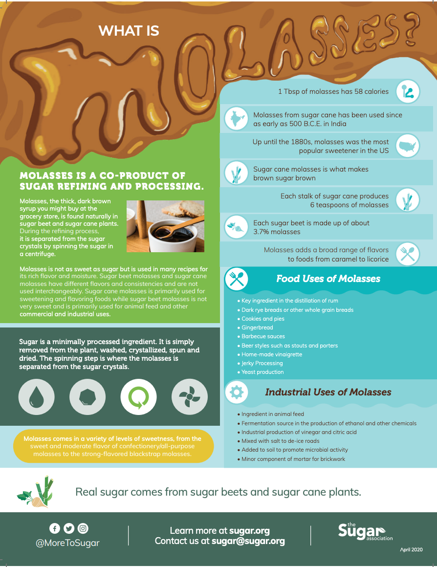 What is Molasses?