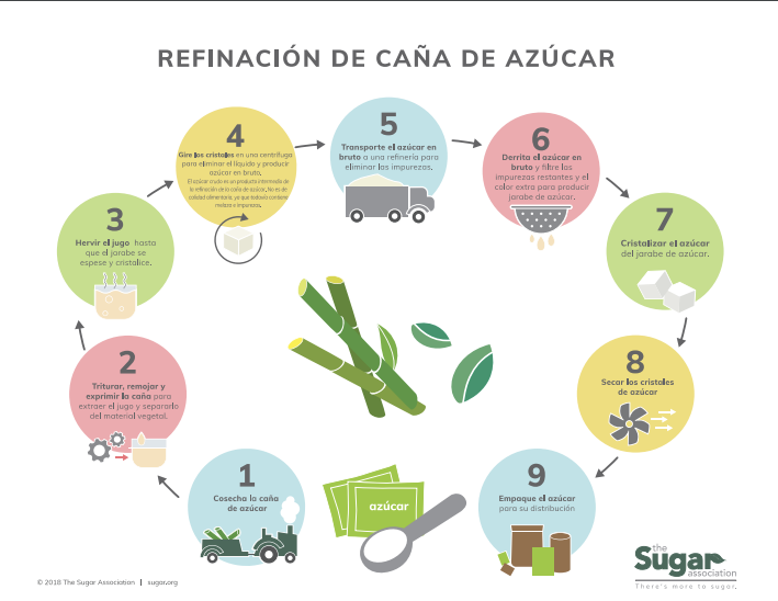 Infografía del proceso de refinación de la caña de azúcar