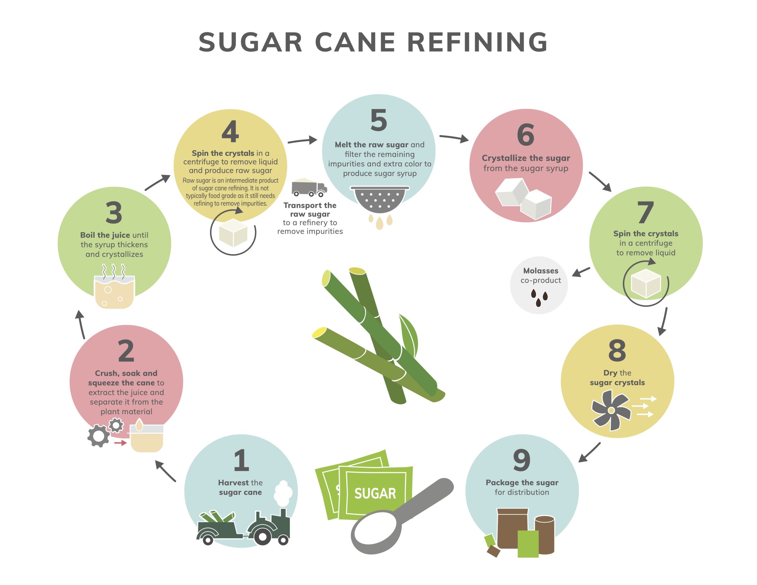 What Is Refined Sugar Refining And Processing