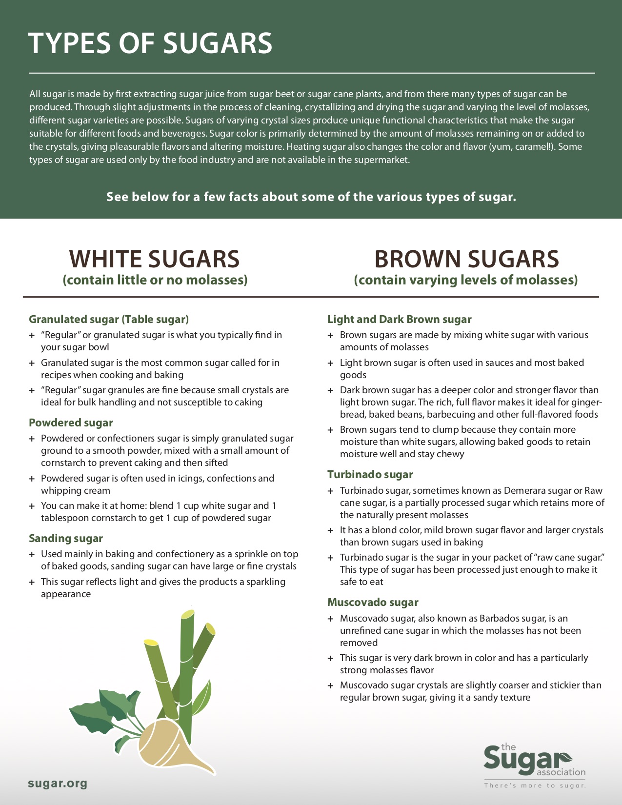 Types of Sugar