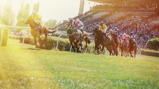 kentucky derby horses eat sugar from beets