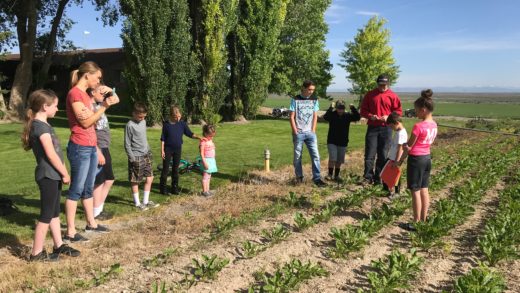 Mindy’s 2 kids learning about weeds in the sugar beets.