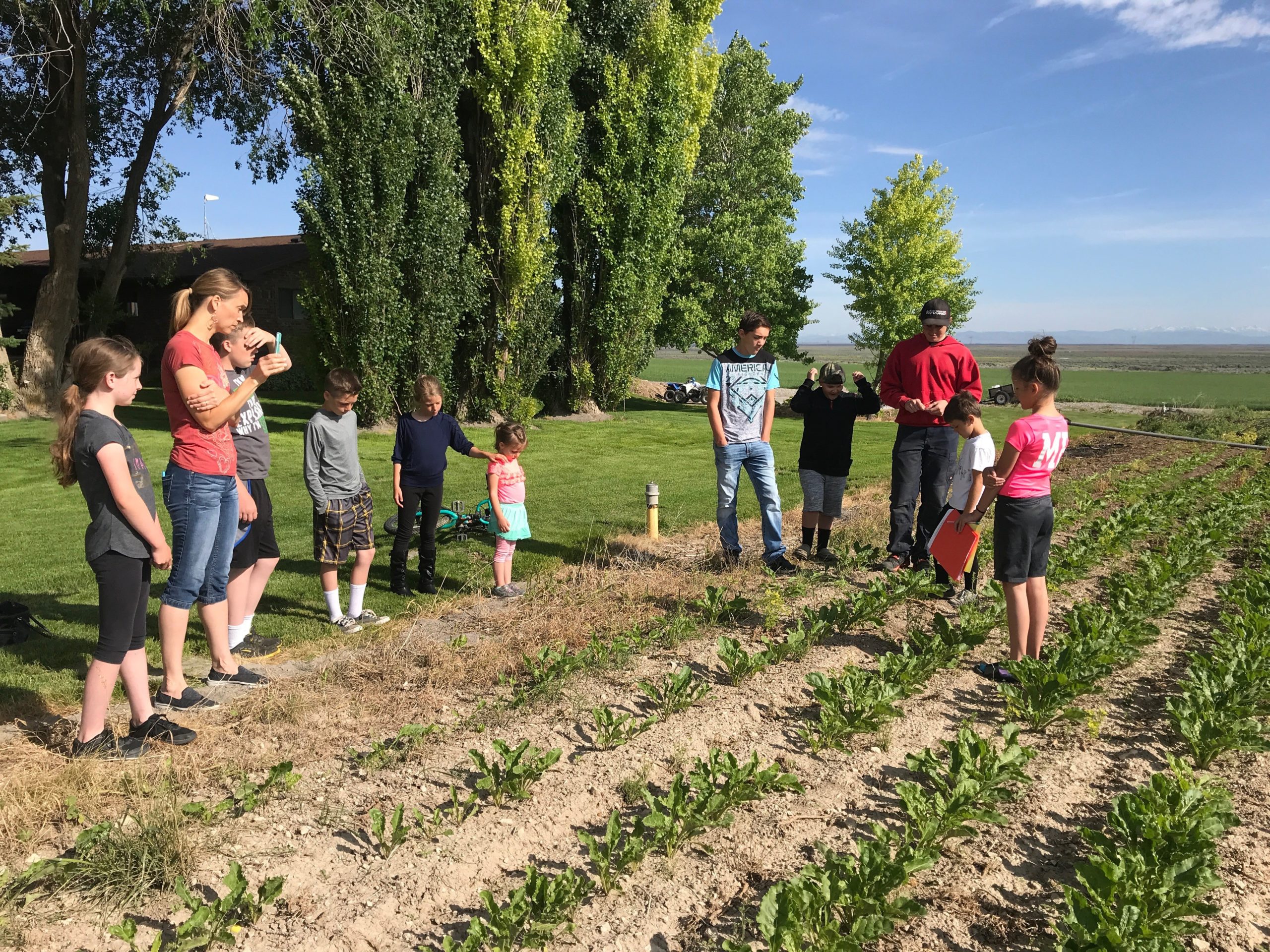 Mindy’s 2 kids learning about weeds in the sugar beets.