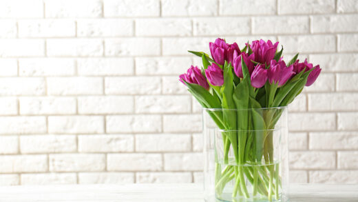 Glass vase with bouquet of beautiful tulips on brick wall background